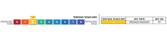 רמת אבזור בטיחותי
