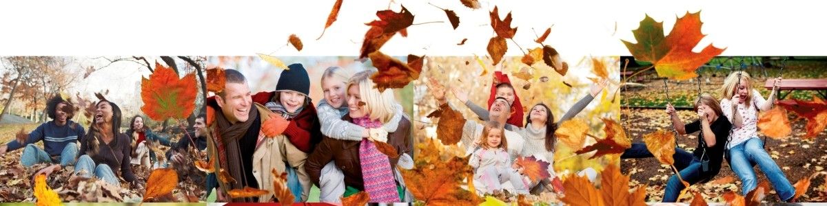 תקנון כתב מנוי מתם מוטורס Total-Cover 